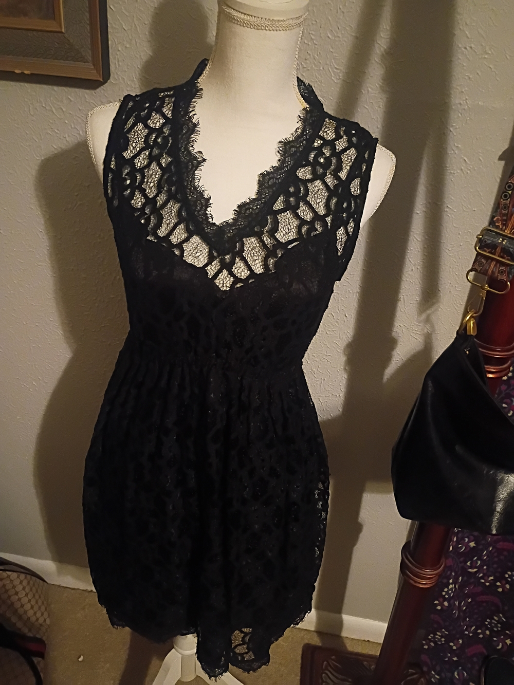 Francesca's Collections Black Lace V-Neck Mini Dress
